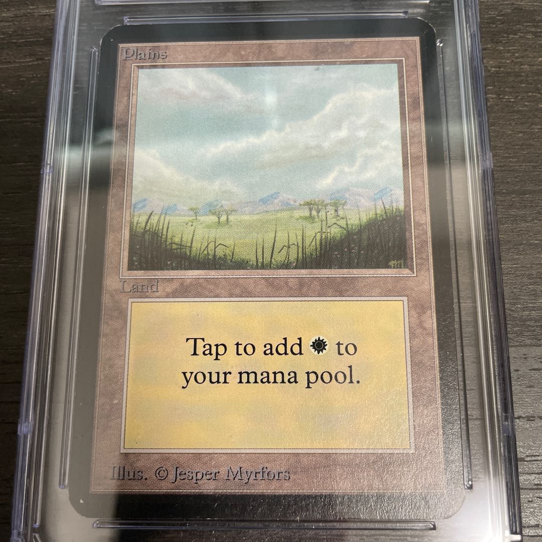 平地/Plains LEA CGC8 & CGC7.5 2枚セット