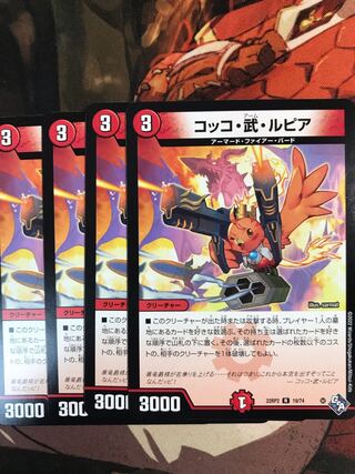 Cocco Bu Lupia R 19/74