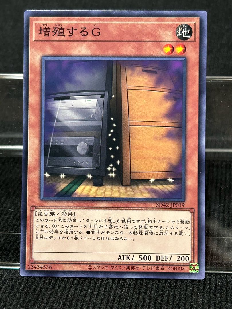 Maxx "C" Normal SD42-JP019 Set of 3