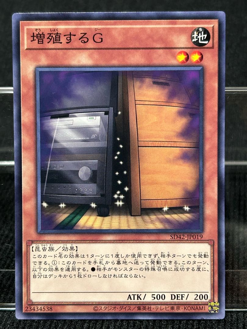 Maxx "C" Normal SD42-JP019 Set of 3