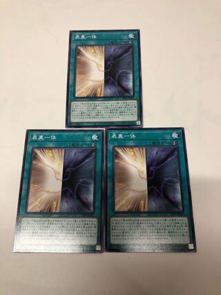 Set of 3 front and back