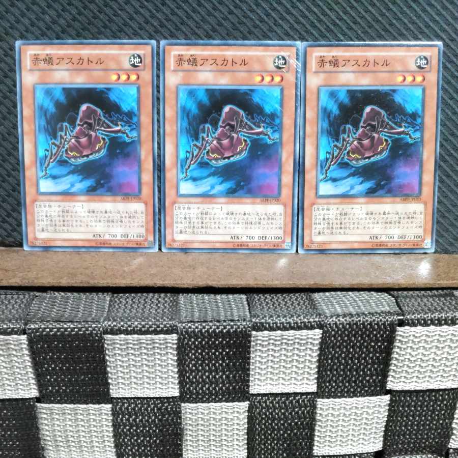 【ぽぽたん】遊戯王 #1955 赤蟻アスカトル ノーマル 3枚