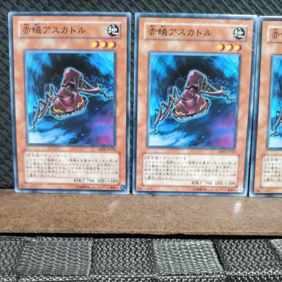 【ぽぽたん】遊戯王 #1955 赤蟻アスカトル ノーマル 3枚