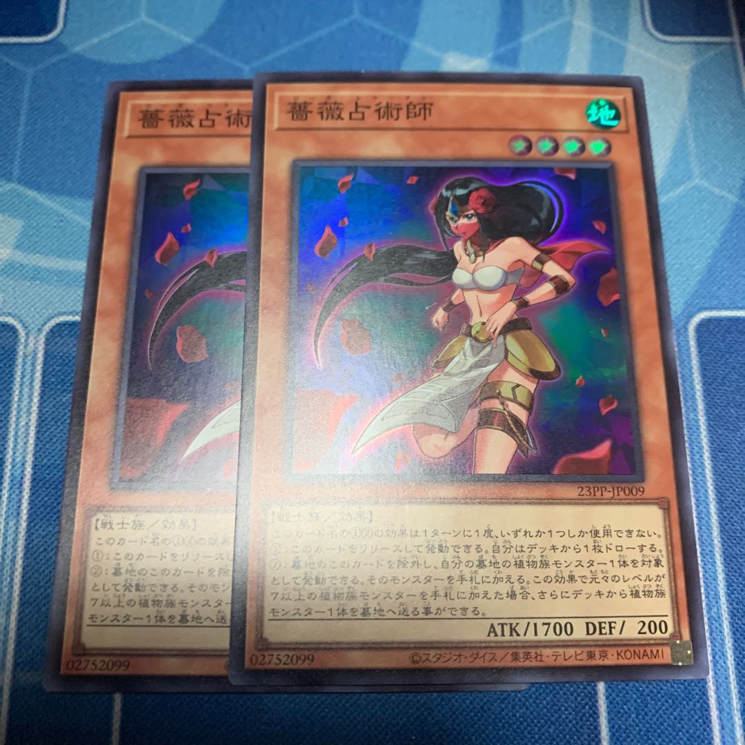 Rose Astrologer Super