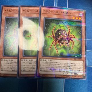 Baby Spider Nopara 2, etc.