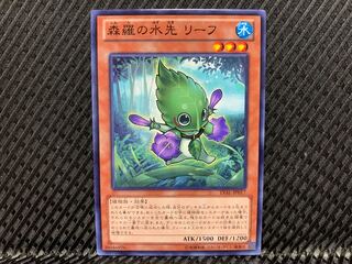 Agonouchi] Yu-Gi-Oh! Sylvan Marshalleaf Normal