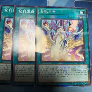 金科玉条　ノーパラ1 他　専用