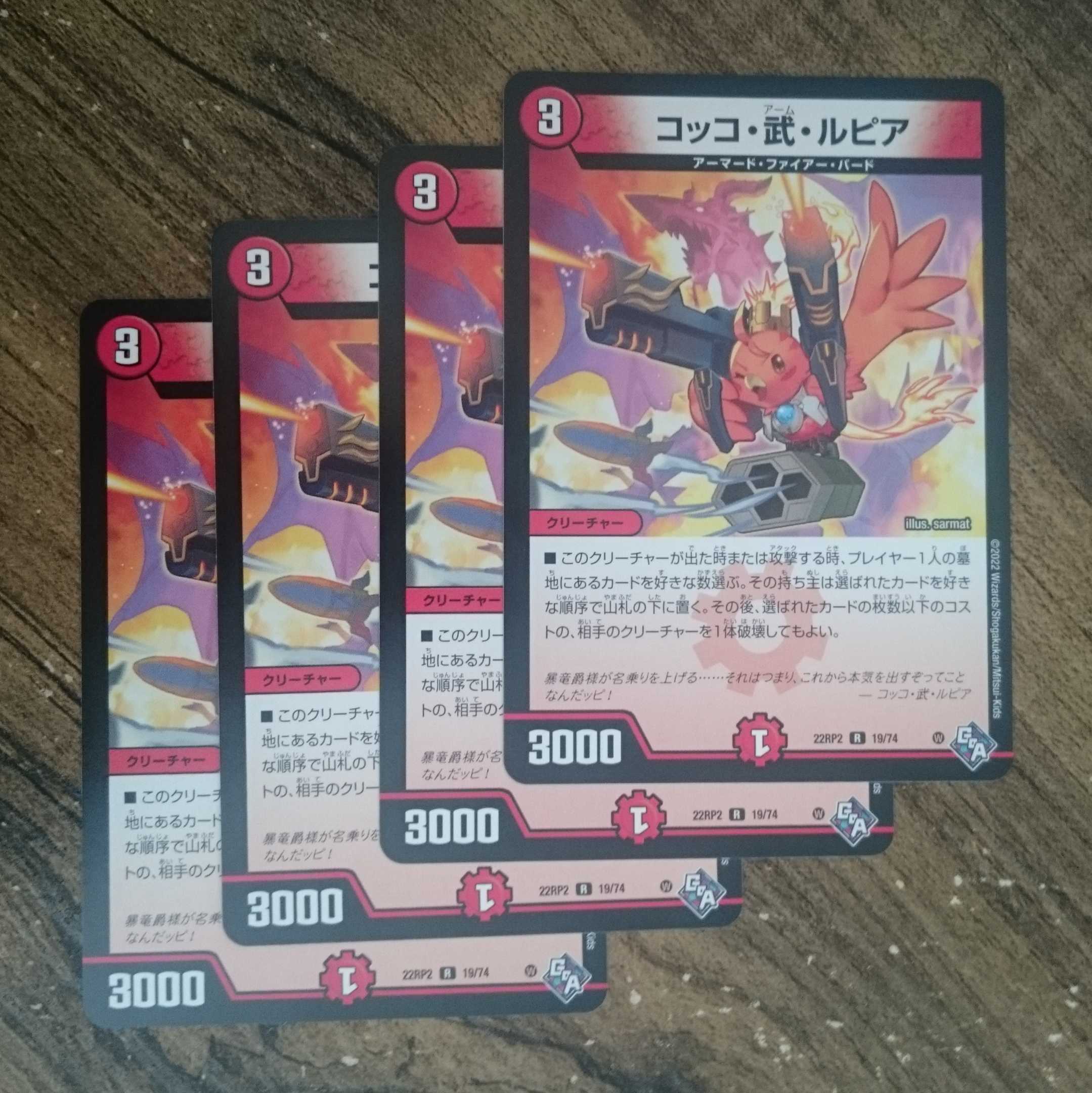 Cocco, Takeshi and Lupia R 19/74 DM22-RP2