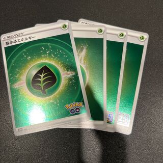 P202 Basic GrassEnergy (Kira)