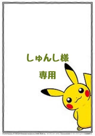 【しゅんし様】専用