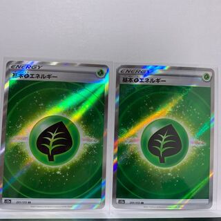 【特価2枚】基本草エネルギー SR 251/172