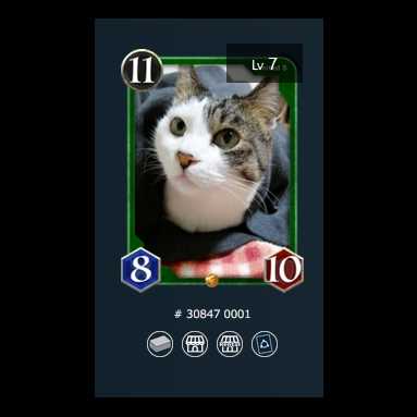 S 1 piece] Cryptocat Lara