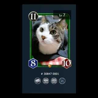 S 1 piece] Cryptocat Lara