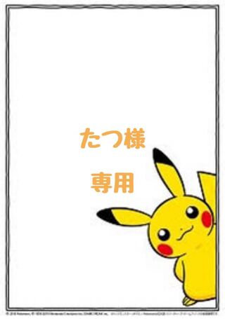 【たつ様】専用