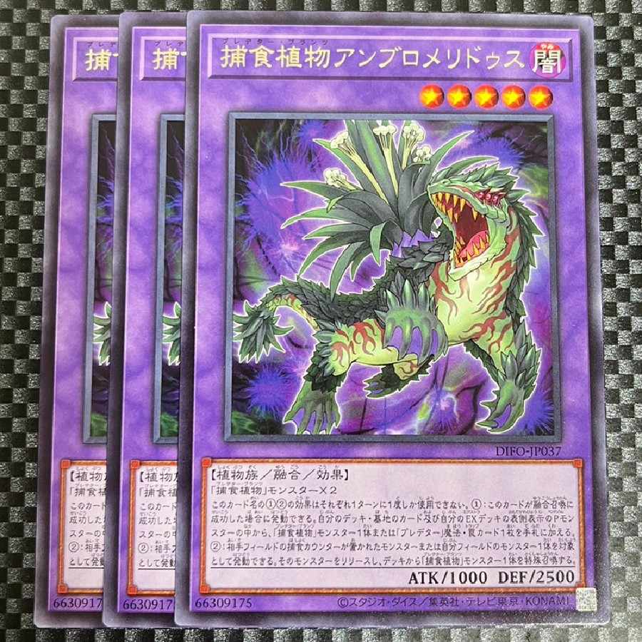 Salmon Salmonid Store 2351 Prey Upon Plant Ambromeridus Rare JP037