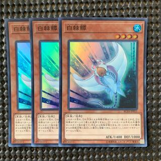 【遊戯王】白棘鱏 / ホワイトスティングレイ SR 3枚