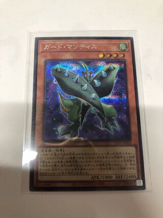 Guard Mantis Secret Rare