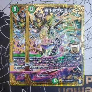 Tenjo Tenge Soukyoku ∞ Set of 2 Twinfinity