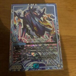 キャプテンカイト