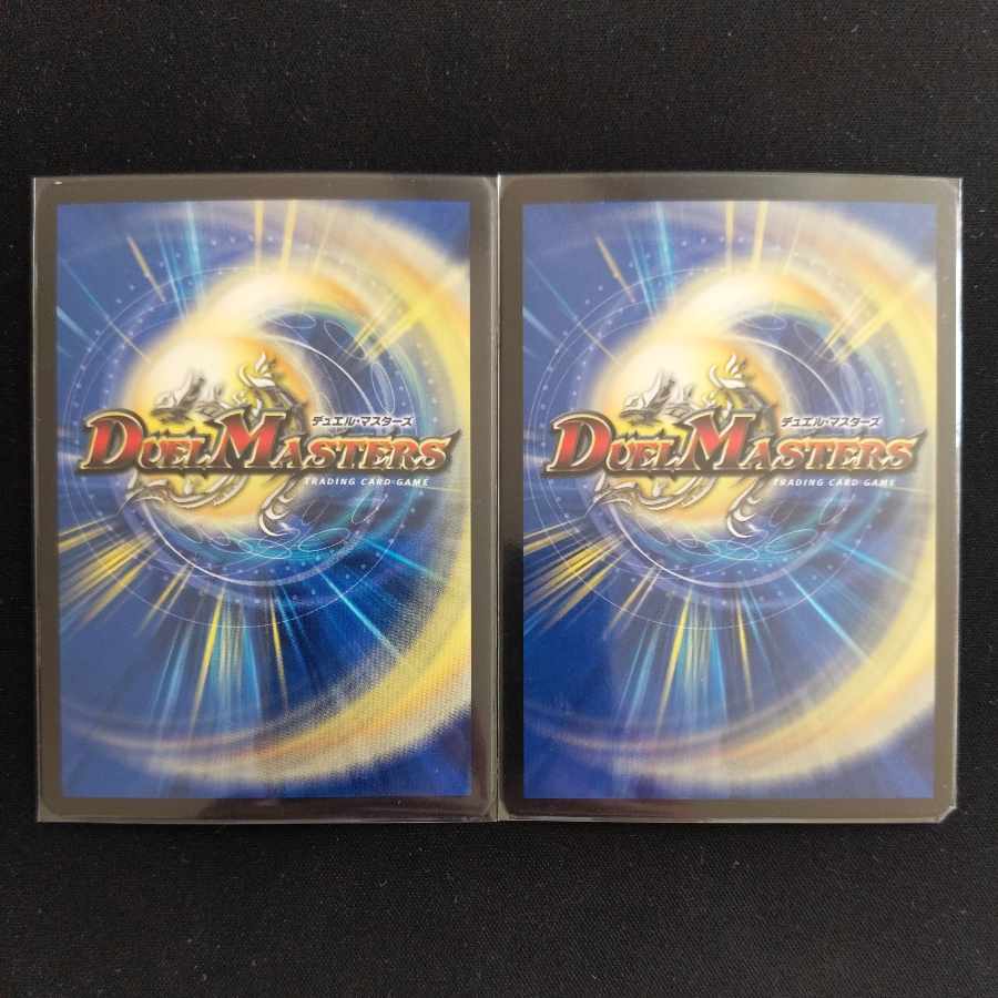 次元の嵐 スコーラー SR S3/S10 2枚 2枚