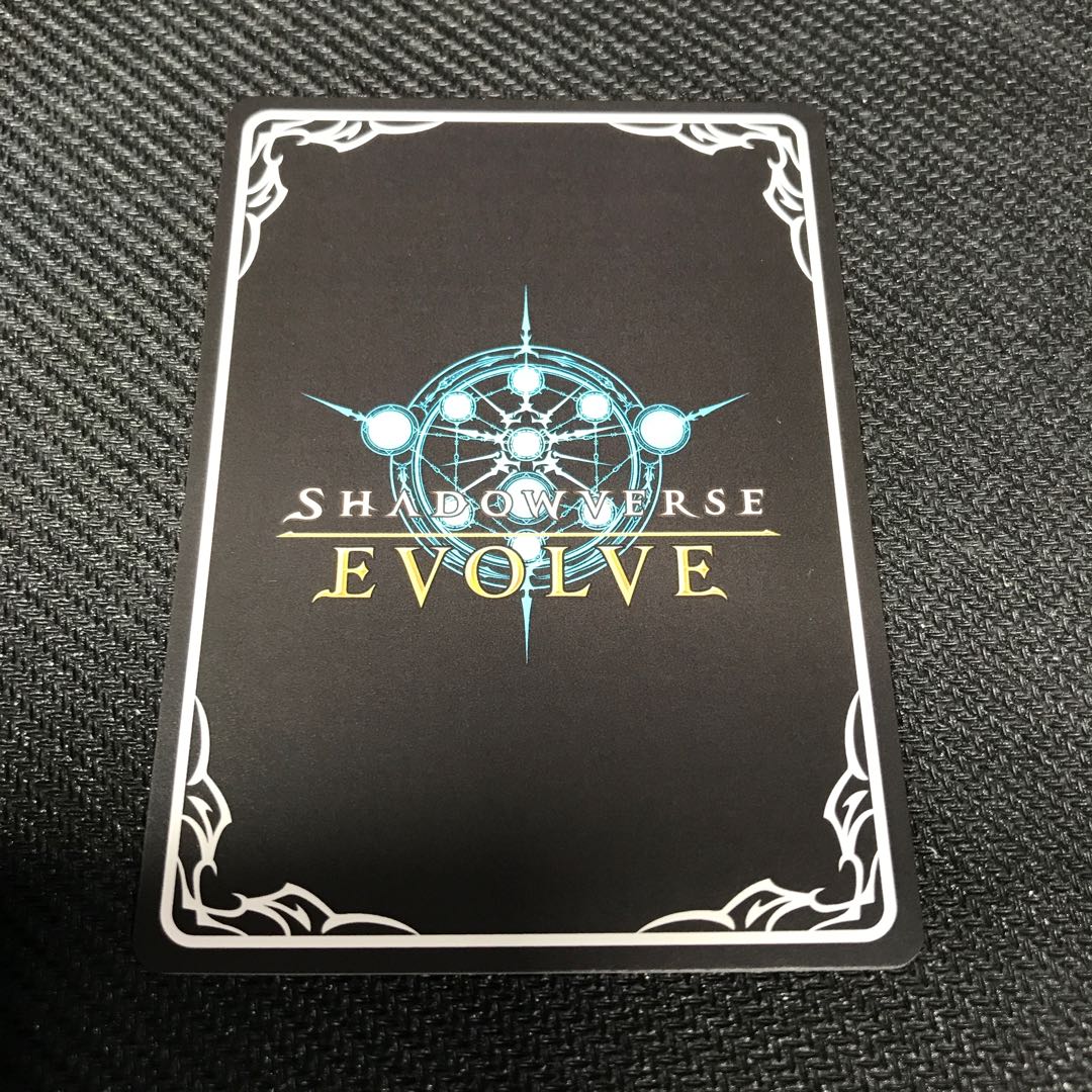 TOKAI TEIO SP EVOLVE Sign [000228].