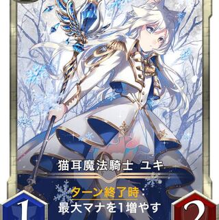 猫耳魔法騎士ユキ2枚セット