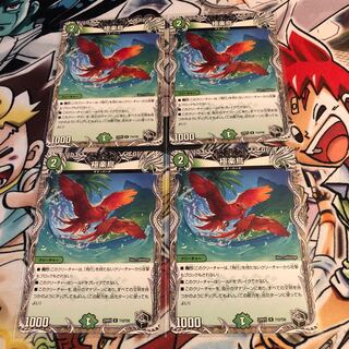 Birds of Paradise (Black Treasure) R T12/T20