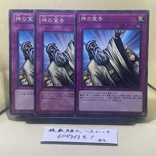 Solemn Judgment Normal