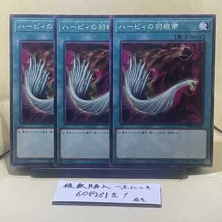 ハーピィの羽根帚 ノーマル