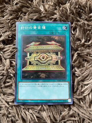 Gold Sarcophagus Secret