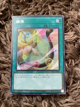 Attunement Secret Rare JP040