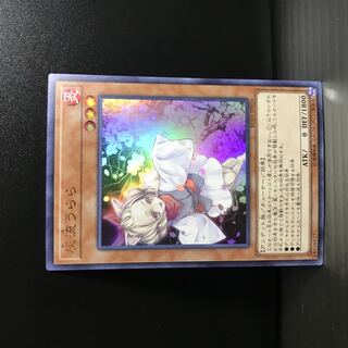 Ash Blossom & Joyous Spring [UR].