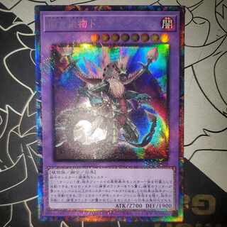 捕食植物ドラゴスタペリア コレクターズレア