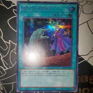 墓穴の指名者 シークレットレア シク レアコレ版