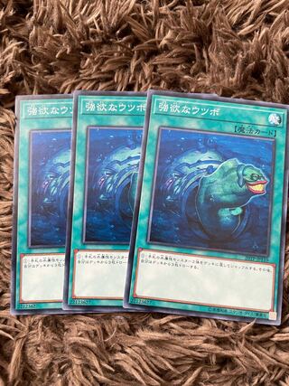 Moray of Greed Normal JP110 3