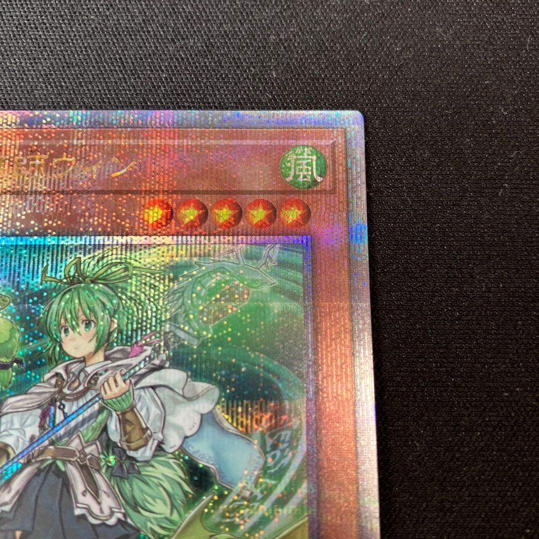 Wynn the Wind Channeler QSE JP019 1 copy