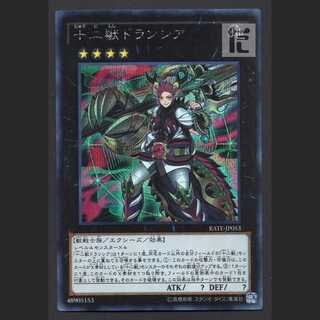 Zoodiac Drident [near] Secret / Management:MY1016