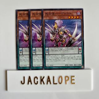 10499 死天使ハーヴェスト ノーマル JP026