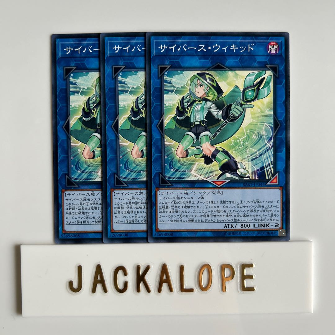 サイバース・ウィキッド $6733