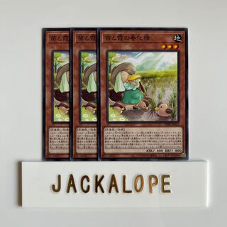 10517 Seedlings and Kasumi no Shunka Jing $6738