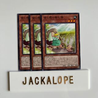 10518 Miao and Haze vernalization spirit $6739