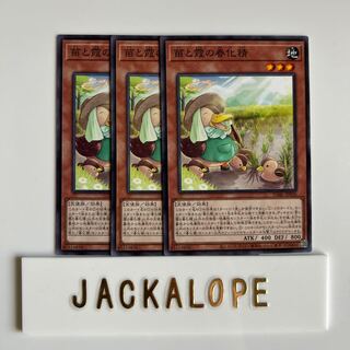 10519 苗と霞の春化精 ノーマル JP026