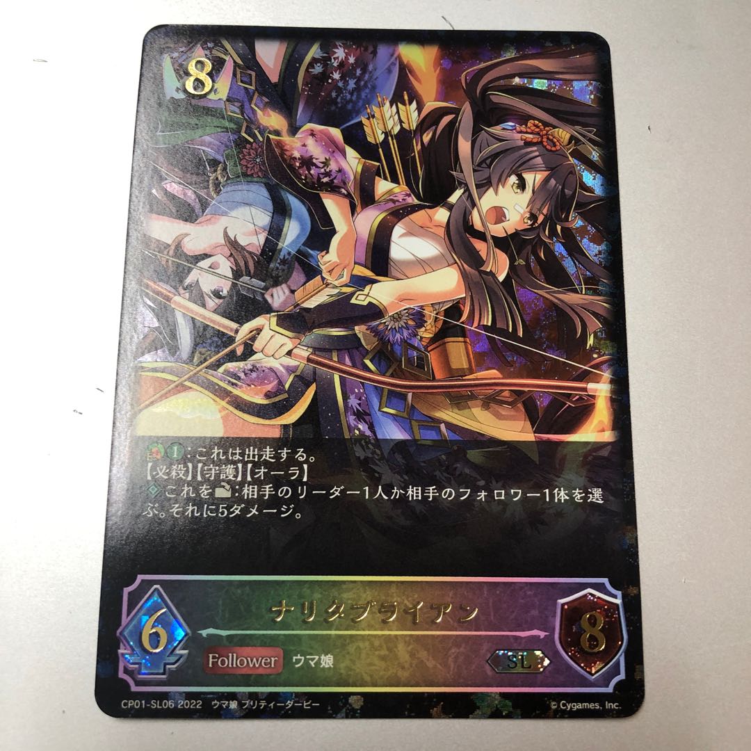 ナリタブライアン SL