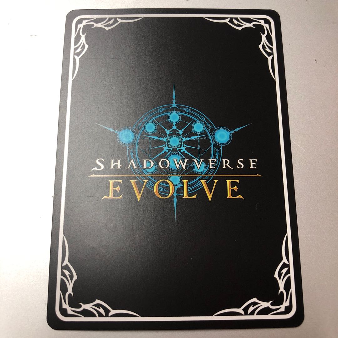 ナリタブライアン SL