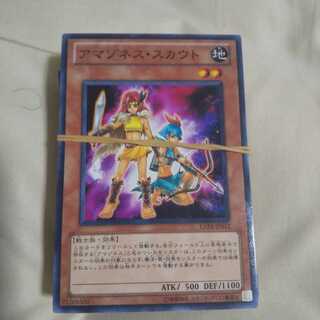 50 Scouts of Amazones for adult adult buyers.