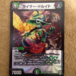 ライマードルイド