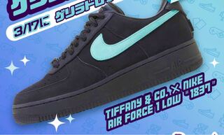 37" Black / Tiffany Snubbull DZ1382-001 28cm