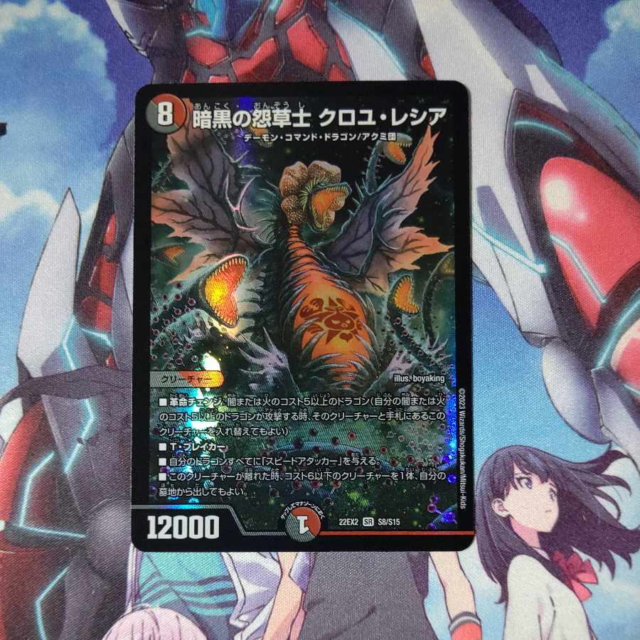 Darkness Grudge Grass Warrior Croyle Lecia SR S8/S15