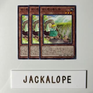 10531 Seedlings and Haze vernalization spirit $6763