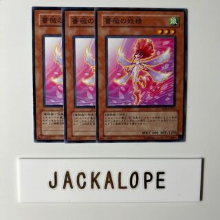 10533 薔薇の妖精 ノーマル JP013